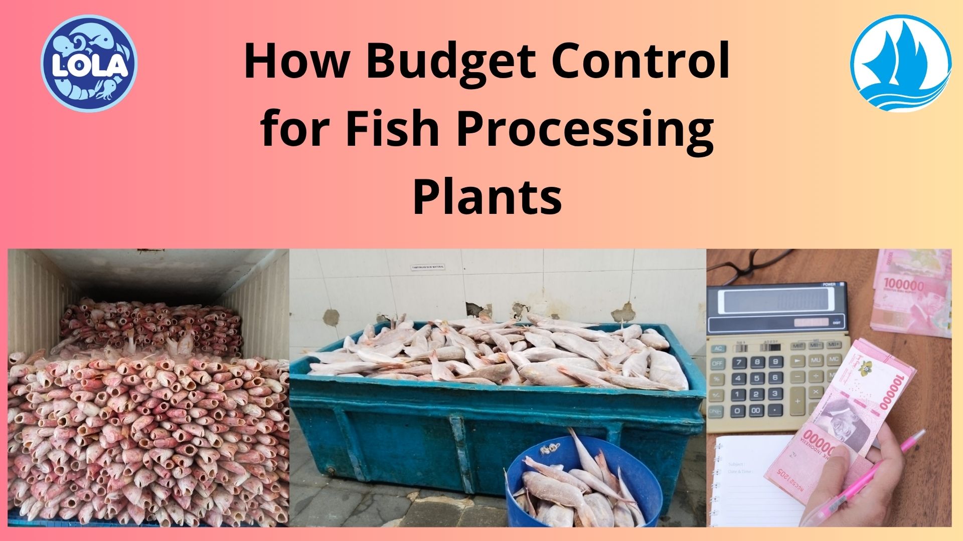  How Budget Control for Fish Processing Plants